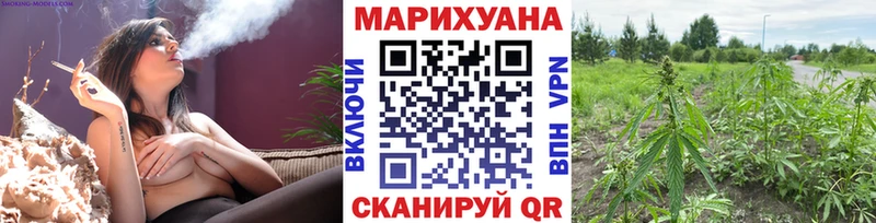 Купить закладку Псилоцибиновые грибы  Мефедрон  APVP  АМФЕТАМИН  ГАШИШ  Каннабис  Данилов