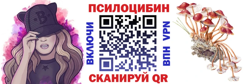 Купить закладки  Данилов  Псилоцибиновые грибы Psilocybine cubensis 