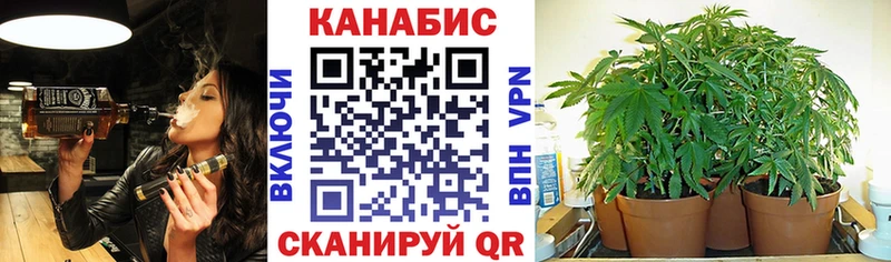 Конопля AK-47  Купить где  Данилов 
